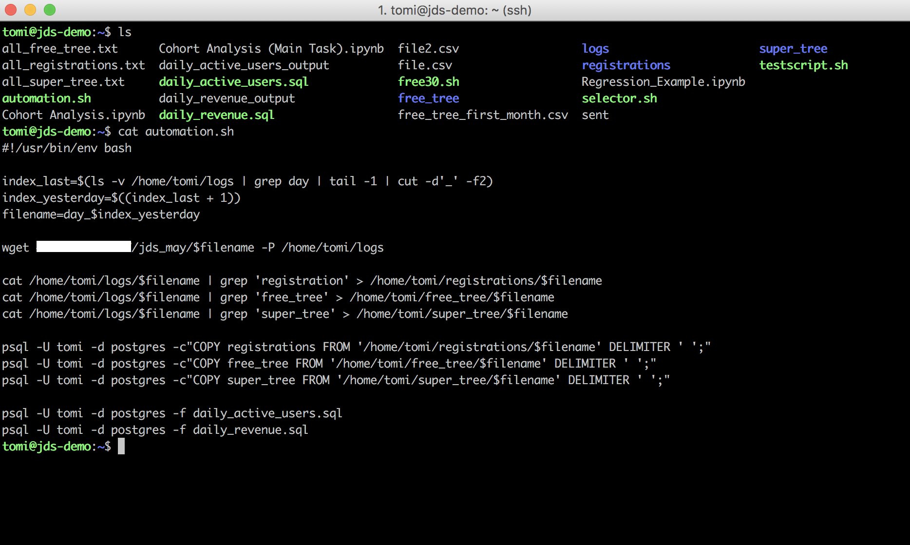 bash command line pelda